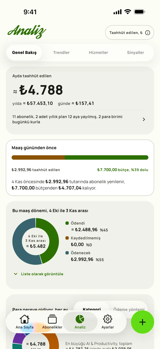 iPhone'da Analiz, Genel Bakış'la açılıyor: her ay 165 $ taahhüt, yılda 1.984,15 $ ve maaş gününe kadar bütçeden kalan